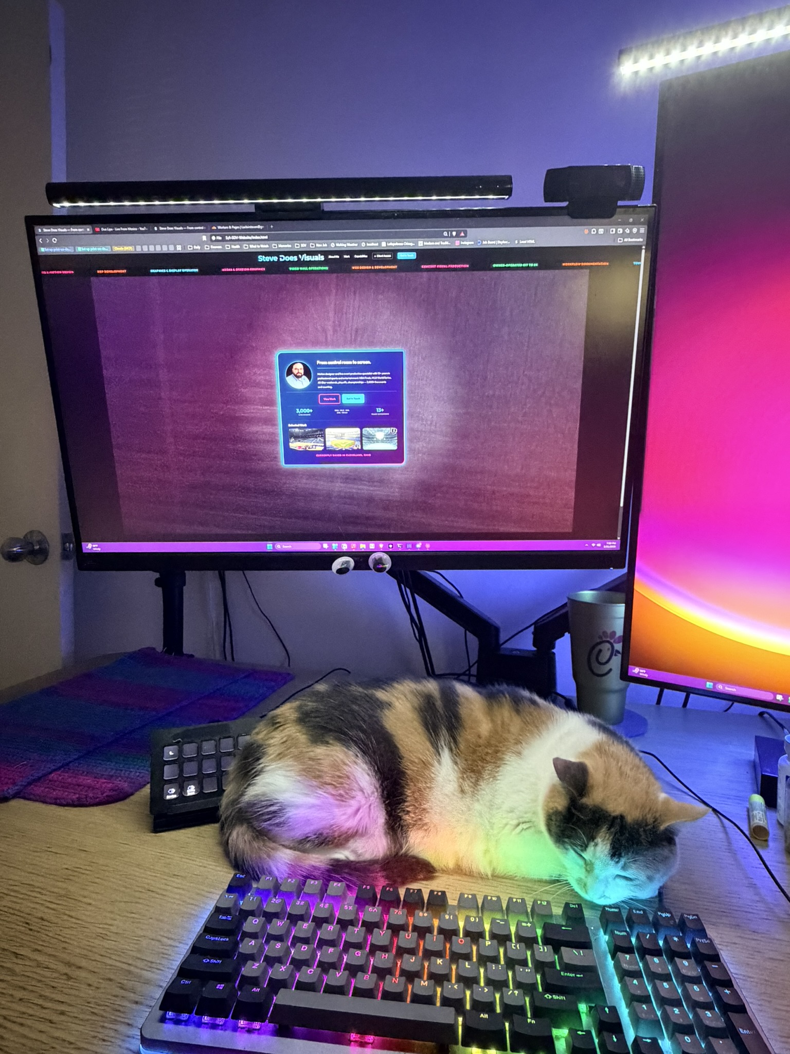 Cat plus website